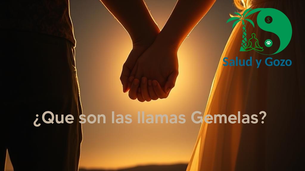 ¿tienes dudas sobre las llamas Gemelas?